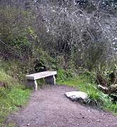 second bench