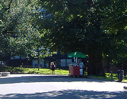 Beverage stand at top of hill