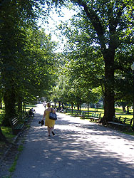 Cool and shady path across Boston Common.