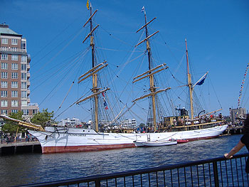 One of the Tall Ships - the Picton Castle