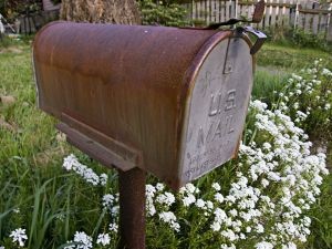 mailbox and flowers