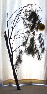 Aisling's 'Charlie Brown' Christmas tree 2012.