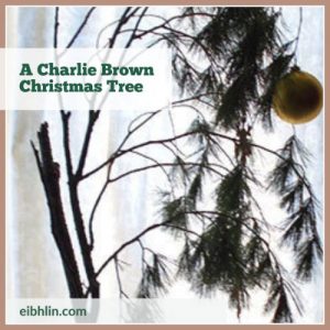 Make your own Charlie Brown Christmas tree - eibhlin dot com