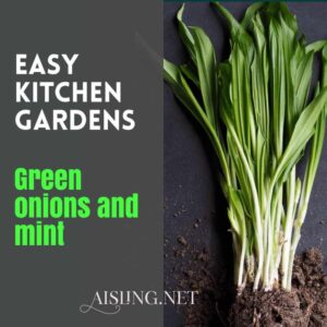 Easy Kitchen Gardens - green onions and mint