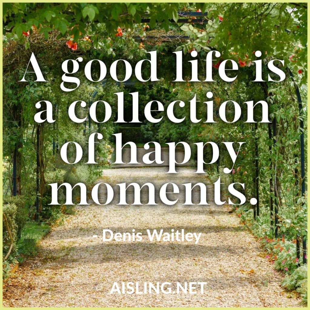 A good life is a collection of happy moments.