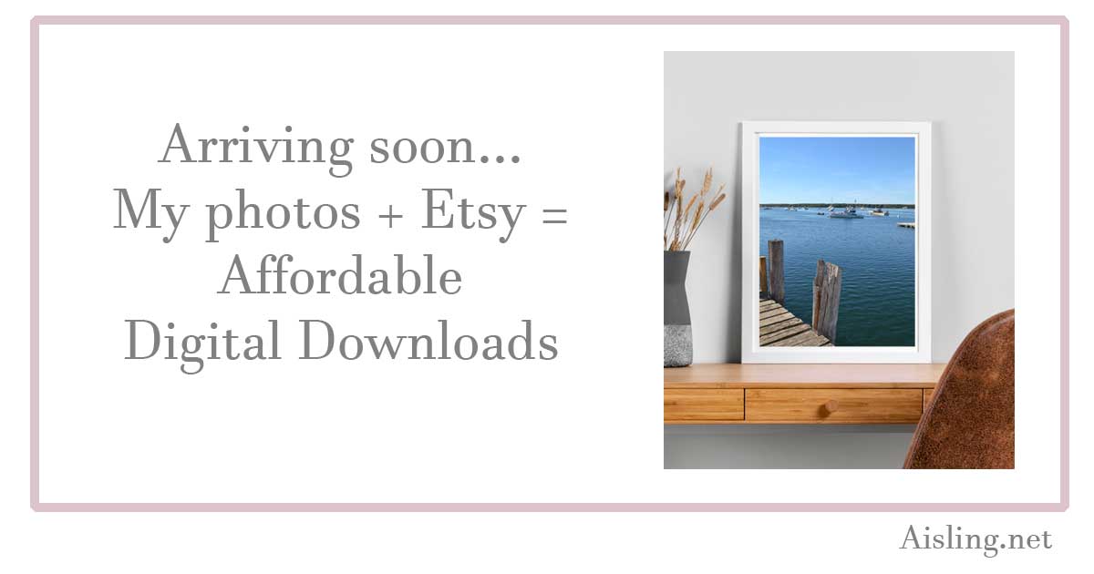 Busy with Photos…