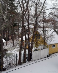 a photo of a snow-covered driveway, garage, and cottage in Maine (USA), with dark trees in front of the cottage.